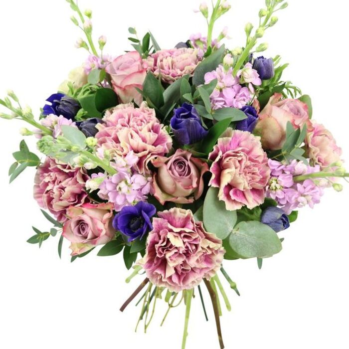 This hand-tied bouquet, shown against a clean white backdrop, feels like a small piece of Aldgate spring captured in flowers. At its core are generous garden roses, their petals opening in tight spirals of blush pink that deepen into dusty mauve and antique rose tones, instantly evoking romance and tenderness. Around these focal blooms, layers of ruffled carnations offer a beautifully textured contrast; each petal moves from creamy, almost beige centres to soft blush and then into more saturated rose and plum-pink edges, creating a subtle ombré effect. Threaded throughout are striking deep blue blossoms, compact and tulip-like in form, that lend a sophisticated, jewel-coloured counterpoint to the warmer hues. One bold royal-blue anemone with a dark, velvety centre anchors the front of the arrangement, like a single brushstroke of midnight in a pastel painting. Slender stems of lilac and pale lavender stock flowers rise gently above and between the larger blooms, their small, cloud-like clusters giving vertical lift and a softly perfumed presence. The entire arrangement rests in a collar of fresh greenery: broad, deep green leaves mingle with round, silvery eucalyptus, whose cool tone and imagined menthol scent suggest freshness and calm. Stems at the base are clearly visible and carefully bound, underscoring that this is a hand-crafted bouquet prepared for delivery from a local Aldgate florist, perhaps travelling to a loft near the Gherkin or a townhouse off Leman Street. The colour harmony of pinks, purples, blues, and greens conveys elegance and comfort, ideal for celebrating anniversaries, sending birthday wishes, or simply brightening a city home with a touch of gentle luxury.